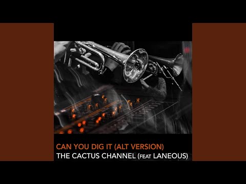 Can You Dig It (Alternate Version)
