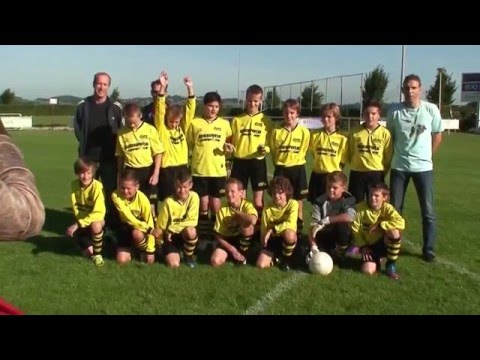 DESM D1 vtt (voetbal talenten toernooi) 2013