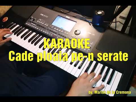 💦 Cade ploaia pe-nserate (Mi ' min) - KARAOKE (cover Nelu Bitina)