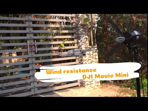 ✅ Test the wind resistance ability of DJI  Mavic Mini in-depth detail