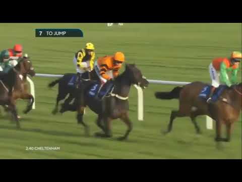 2016 Neptune Investment Management Hyde Novices' Hurdle  - Cheltenham Open
