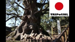 preview picture of video '[TRIPofJHL] Trip to Aira City, Kagoshima Prefecture'