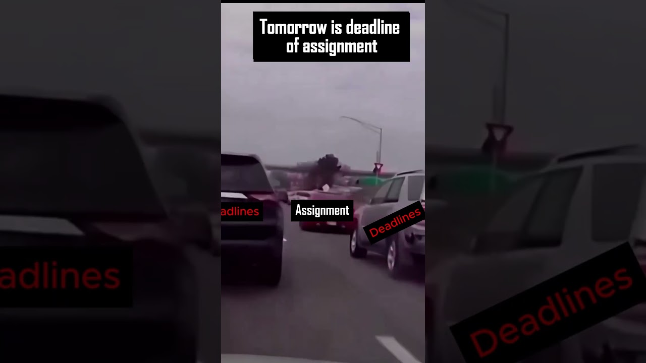 Last-Minute Assignment Help? DigiInk Assignments Has You Covered! | AI-Free & On-Time Delivery 📚