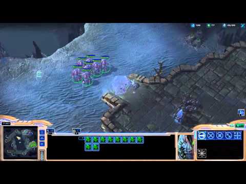 Destiny learning protoss (Kyle on Skype) [Game 13] - Starcraft 2 Ladder