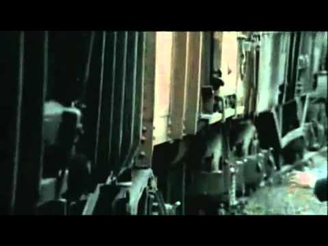 GommyLala’s Video 29885748403 Gh0zm-PIKDI