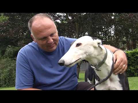 PATRICK JANSSENS - BOCKOS DOOMIE - SUSSEX CUP