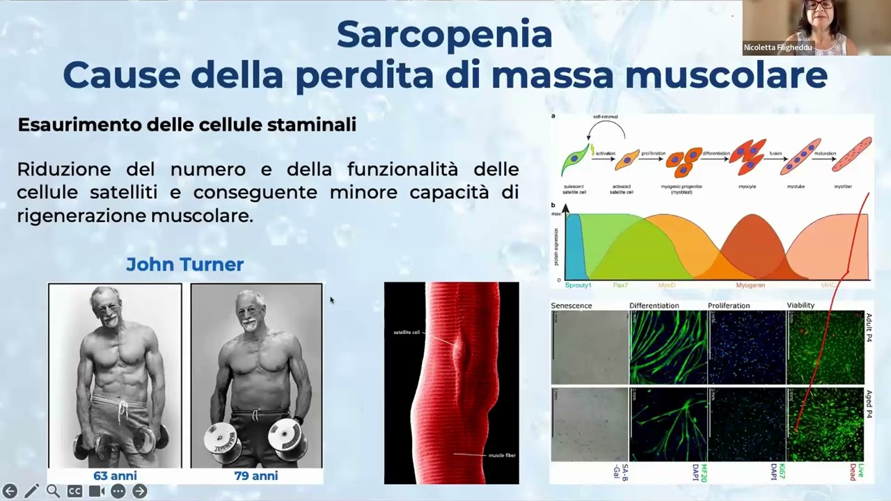 Longevità: Meccanismi dell'Invecchiamento e Strategie Nutrizionali