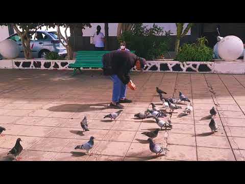 IGLESIA DE SAN GINES ARRECIFE | PROMOVER A ILHA DE LANZAROTE
