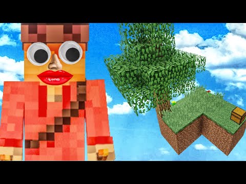 Minecraft but We Battle To Survive on Two SkyBlocks?! (Minecraft Gameplay)