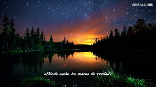 Alejandro Sanz - Un Charquito De Estrellas (Lyric Video)