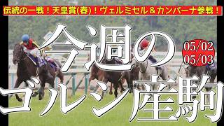 今週のゴールドシップ産駒 (05/02,03)【伝統の一戦！天皇賞(春)！ヴェルミセル＆マイネルカンパーナ参戦！】