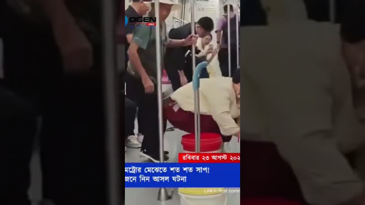 চলন্ত মেট্রোতে শত শত সাপ দেখে আতঙ্ক! কিন্তু আসল ঘটনা কী?
