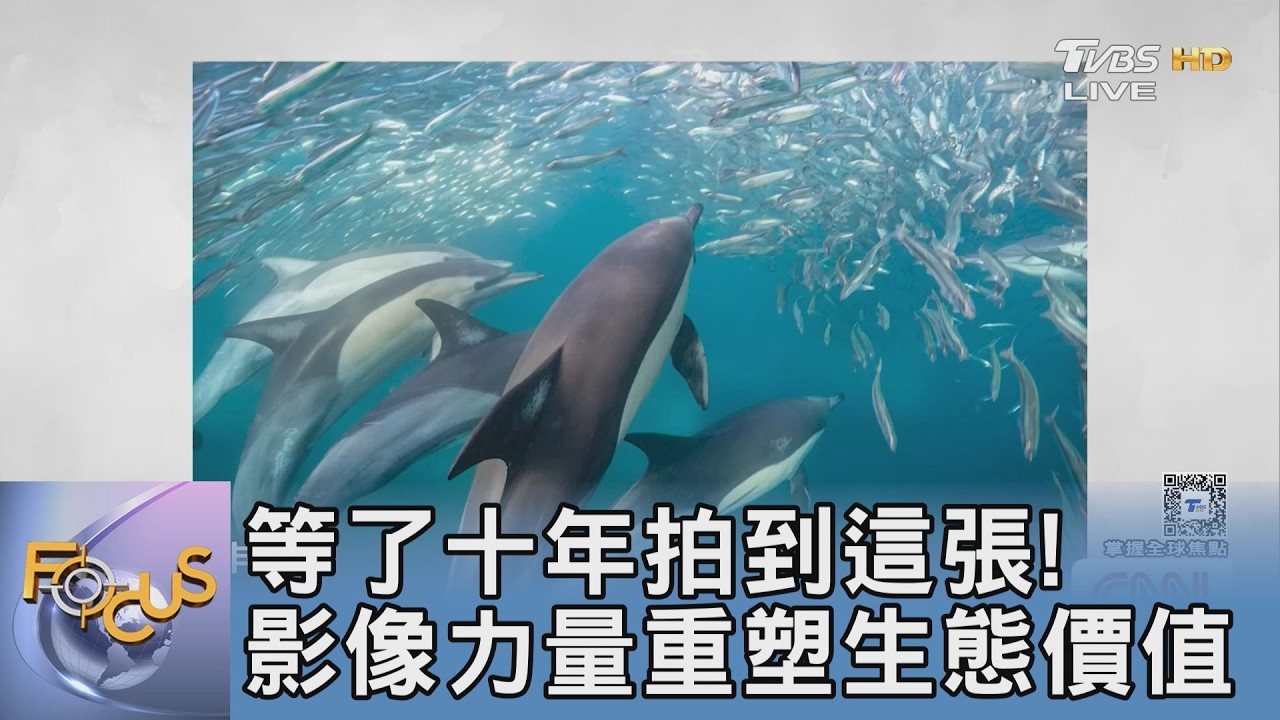 納米比沙漠奇蹟!耗時10年只為這一張 棕鬣狗神祕身影震撼全球