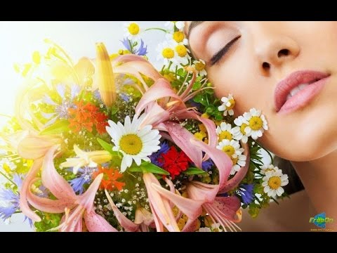 VARA,VARA PRIMOVARA - 2017