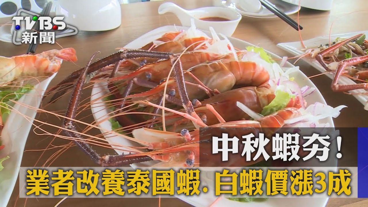 中秋蝦夯！業者改養泰國蝦、白蝦價漲3成