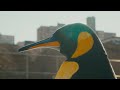 Videoklip Rocket Pengwin - Unique  s textom piesne