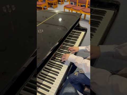 Unbelievable! Astyzle plays C418 on piano!!