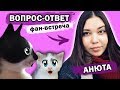 ВОПРОСЫ от ПОДПИСЧИКОВ! ВСЯ ПРАВДА О КАНАЛЕ А НУ КА ДАВАЙ КА! КОТЫ ВОИТЕЛИ LOL РЫЖИК и ЛИЦО АНЮТЫ ВОПРОСЫ от ПОДПИСЧИКОВ! ВСЯ ПРАВДА О КАНАЛЕ А НУ КА ДАВАЙ КА! КОТЫ ВОИТЕЛИ LOL РЫЖИК и ЛИЦО АНЮТЫ