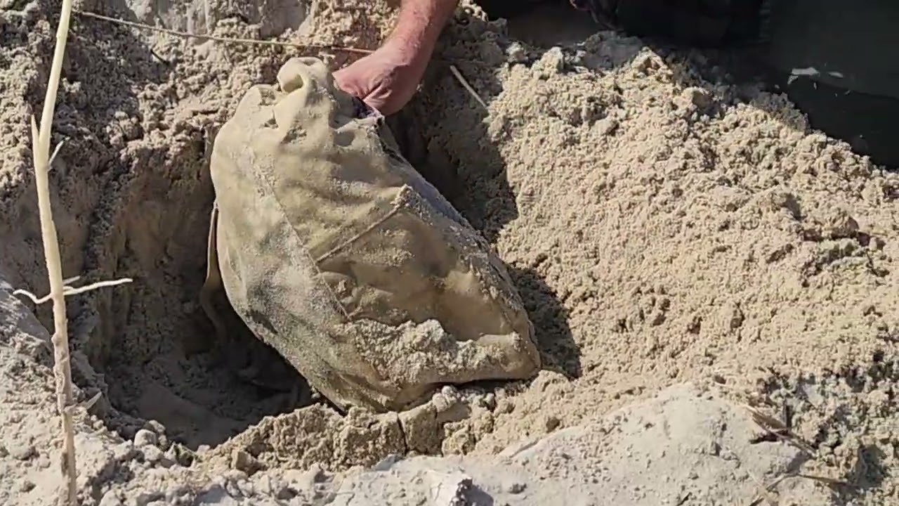 Bolsa encontrada na praia. veja o que tinha dentro