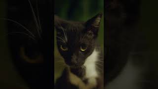 Our BVI Base at Night ????