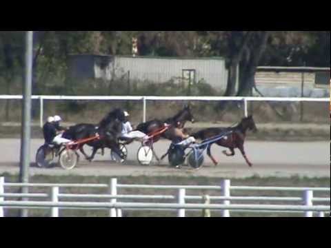 Октобар шести 2012, Трка Перзеј 1700м. аутостарт