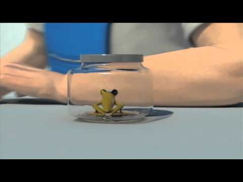 Hazard vs. Risk: Essential Insights for Workplace Safety | Your ACSA Safety Training