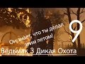 Ведьмак 3 Дикая Охота Прохождение на ПК Часть 9 ДИКАЯ ОХОТА! (1080p 60fps) 