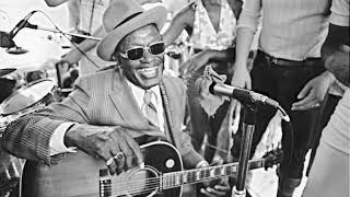 Lightnin Hopkins Ain&#39;t It Crazy Live
