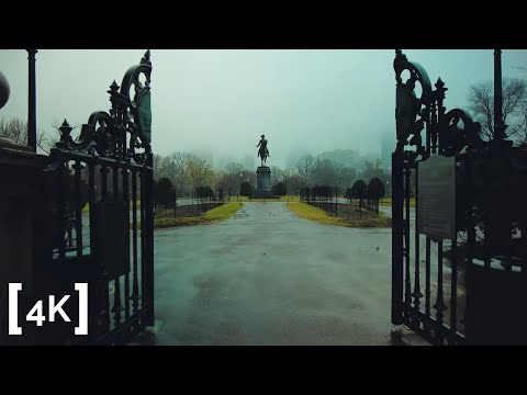 [4K] Walking in the Rain | Boston Garden Early Spring | Binaural Sound | ASMR Ambience