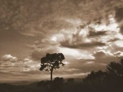 Iio - Is it love (Chris Ortega remix)