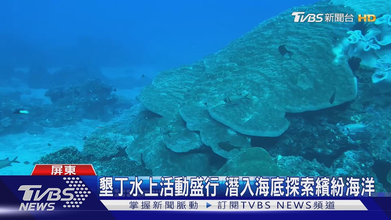探索屏東「海底40米」豐富生態　新書首刷一週搶空