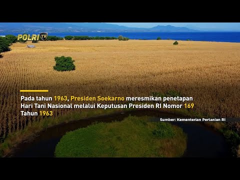 INFOGRAFIS HARI TANI NASIONAL 2025