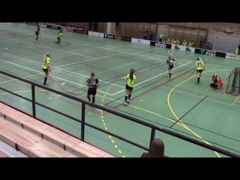 Åkibs F05/06 - Bjärreds IBK F04/05   2019 01 13
