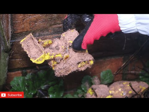 Restoration Tonka Mighty Loader