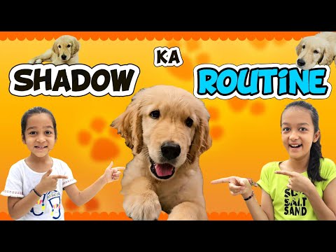 SHADOW Ka ROUTINE 🐕⏰️😍🤩 | Daily Routine | Family Vlog | Dog Lover | Aayu and Vanu