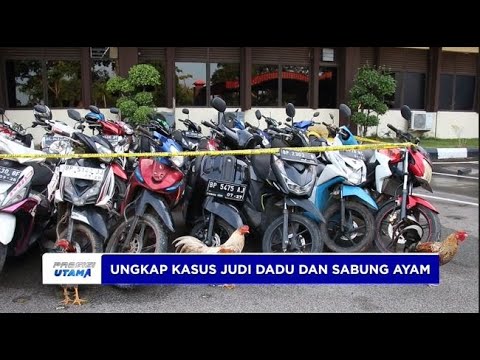 UNGKAP KASUS JUDI DADU GUNCANG DAN SABUNG AYAM OLEH POLRESTA BARELANG