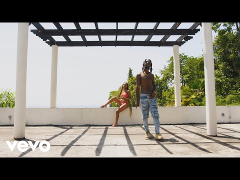 SanityDsane1 - Nice Life (Official Video) ft. Flava Boss