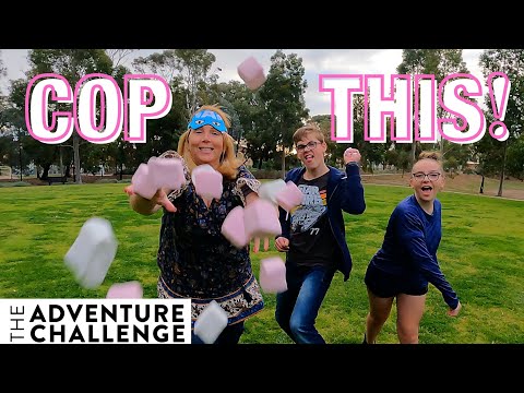 Adventure Challenge Family Edition Book : Cute Fluffy Cloud Fight! Family Fun