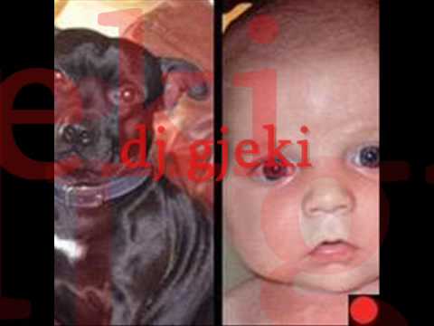 dj gjeki VIG POPPA singullar 2009 wma