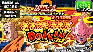 新春ドッカンフェスで未所属j LRをゲットして行く！