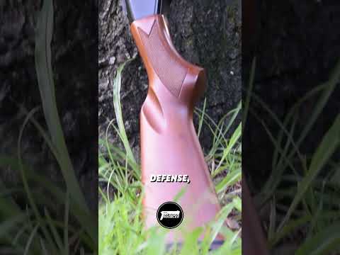 Trigger Pull of Mossberg 500
