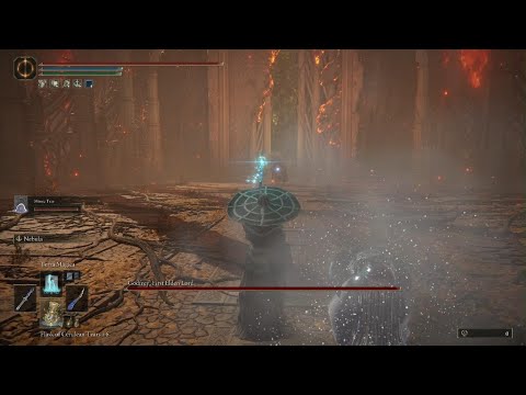 ELDEN RING Godfrey Int/dex build OP