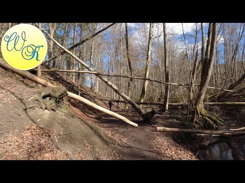 Vom Schloss Seefeld über Widdersberg Rundweg