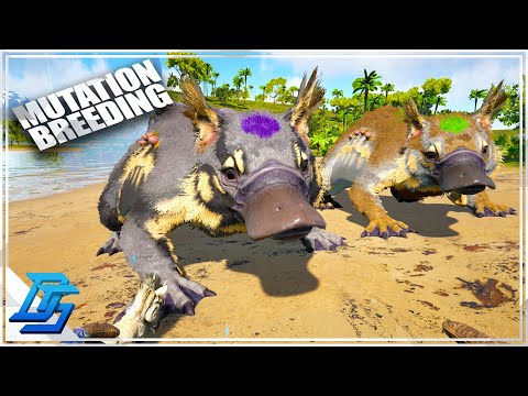 BREEDING FOR MUTATIONS, MAKING THE BEST MAEWING! - Ark Survival Evolved Gameplay (2022) - Part 22