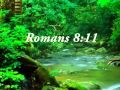 50 Healing Verses Soothing Music