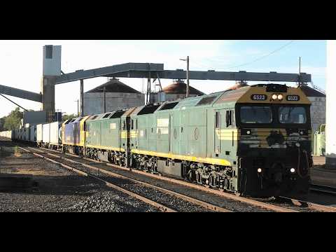 G523-520-519 on 7901V at Dunolly.  14-02-26.