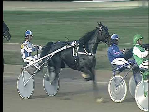 Trotto 13/10/2017 - 8ª corsa