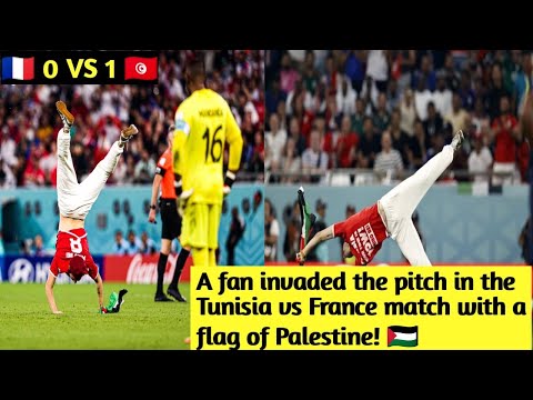 A fan invaded the pitch in the Tunisia vs France match with a flag of Palestine! 🇵🇸