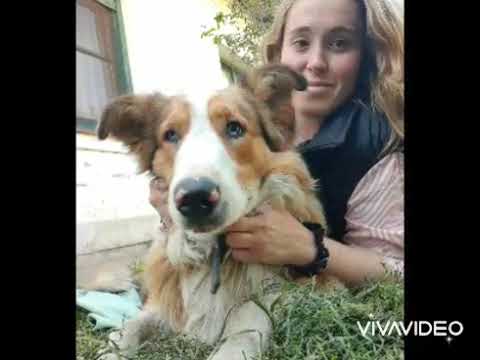 El legado del abuelo