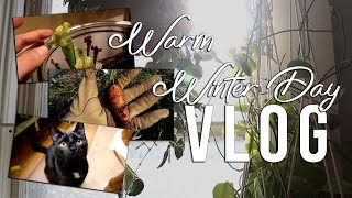 Winter Gardening & Informal Terrarium Tour | #Vlogmas e13